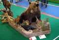 2006-orso